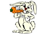 A rabbit with a carrot